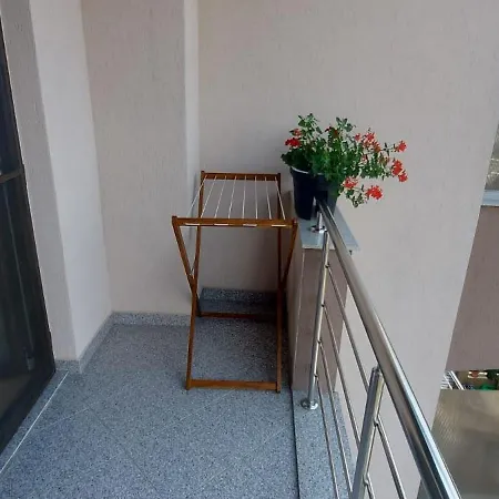 게스트하우스 Ozon