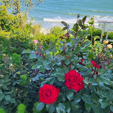 Ozon Pensjonat Eforie Nord