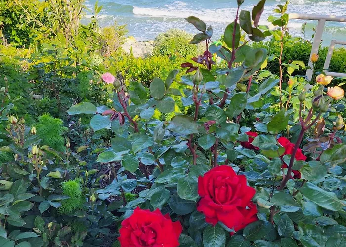 Ozon Pensjonat Eforie Nord